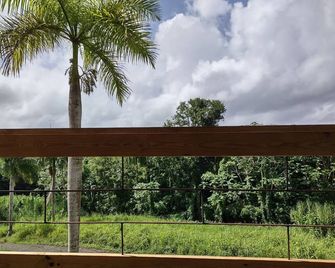 Your sustainable experience in the skirt of El Yunque! - Naguabo - Balcón