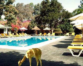 Hotel Majoro - Nazca - Pool