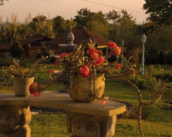 Alma Terra Campestre - Ginebra
