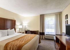 Quality Inn Olive Branch - Olive Branch - Bedroom
