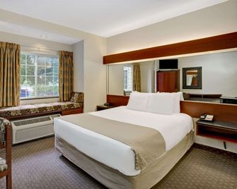 Microtel Inn & Suites by Wyndham Indianapolis Airport - Indianapolis - Schlafzimmer
