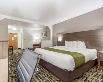 Quality Inn & Suites - Omaha - Sypialnia