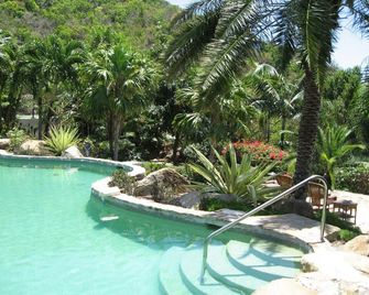 Nail Bay Resort - Virgin Gorda - Pool