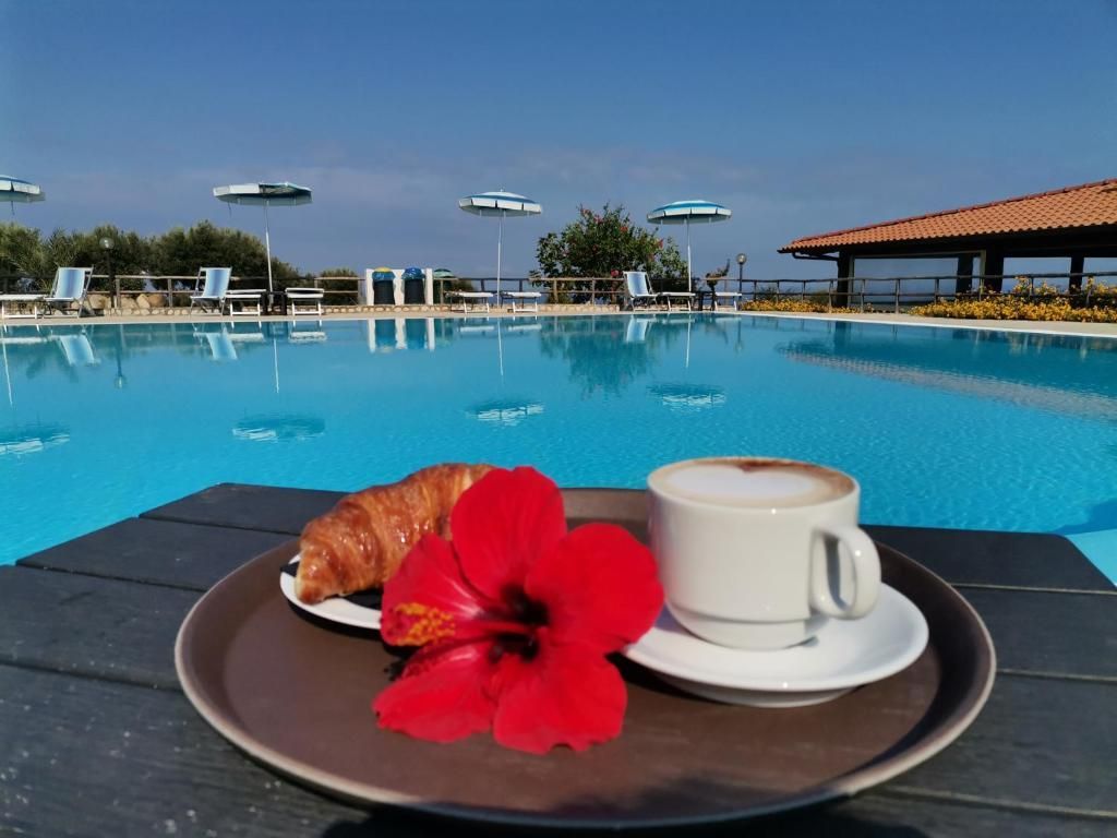 Agriturismo Ninea - ריקאדי - בריכה