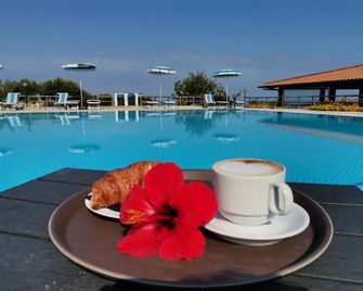 Agriturismo Ninea - ריקאדי - בריכה