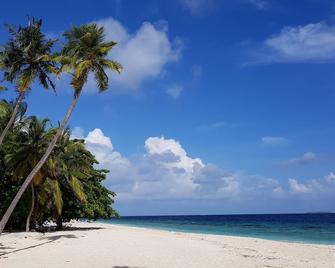 blue world dharavandhoo - Dharavandhoo - Playa