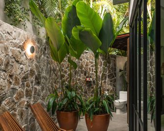 San Trópico Boutique Hotel & Peaceful Escape - Puerto Vallarta - Patio