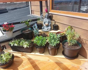 Hostal Buenavista Patagonia - Punta Arenas