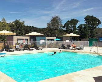 Terres de France - Domaine du Moulin Neuf - Rochefort-en-Terre - Pool