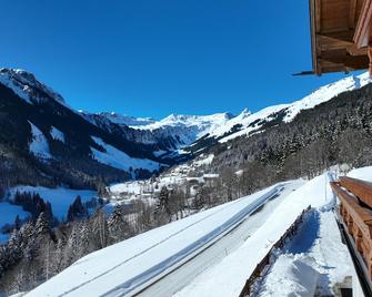 Boutique Appartements - Hinterglemm
