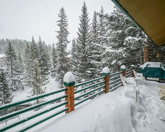 Rapids Retreat Home: On River, Hot Tub, Dog Friendly - Breckenridge - Balcón