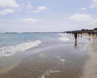 B&b Galletto - Porto San Giorgio - Strand