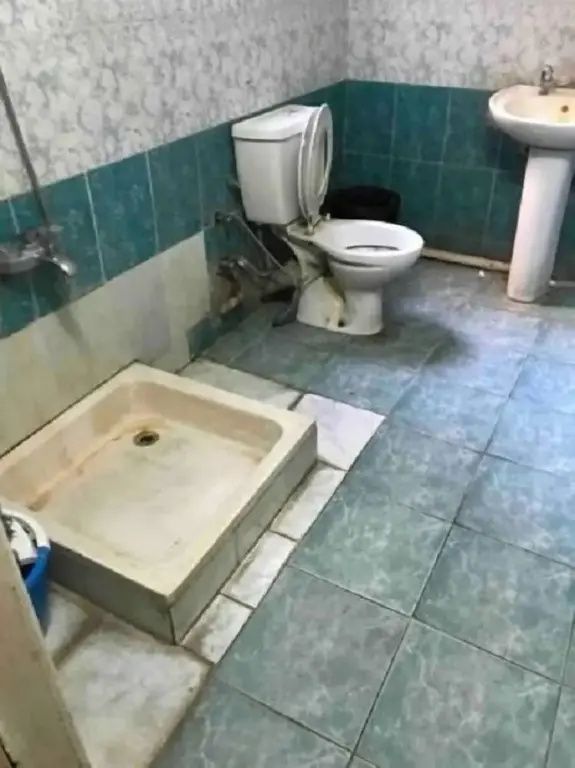 فندق أكروبول الإسكندرية - الإسكندرية