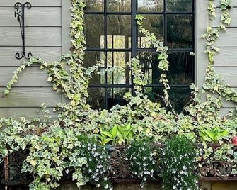 The Forest Door - Studio Suite in Stone Cottage - Tryon - Outdoors view