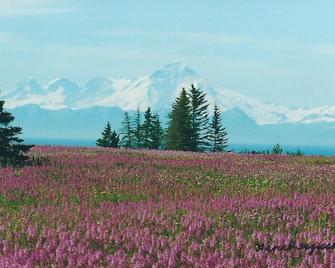 Mckinley Creekside Cabins & Cafe'-The Carlo Guest Cabin - Denali Park - Вигляд зовні
