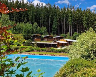 Stunning private villa for 4 guests with WIFI, pool, TV, patio and pets allowed - Dvůr Králové nad Labem - Piscina