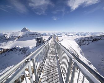 The Glacier Hotel - ex Eurotel Victoria - - Ormont-Dessus