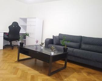 Charming flat center and near the lake - Geneve - Olohuone