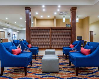 Comfort Suites Bowling Green Southeast - Bowling Green - Lounge