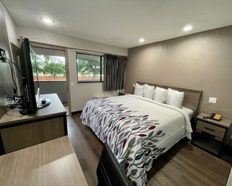 Red Roof Inn Lafayette, LA - Lafayette - Bedroom