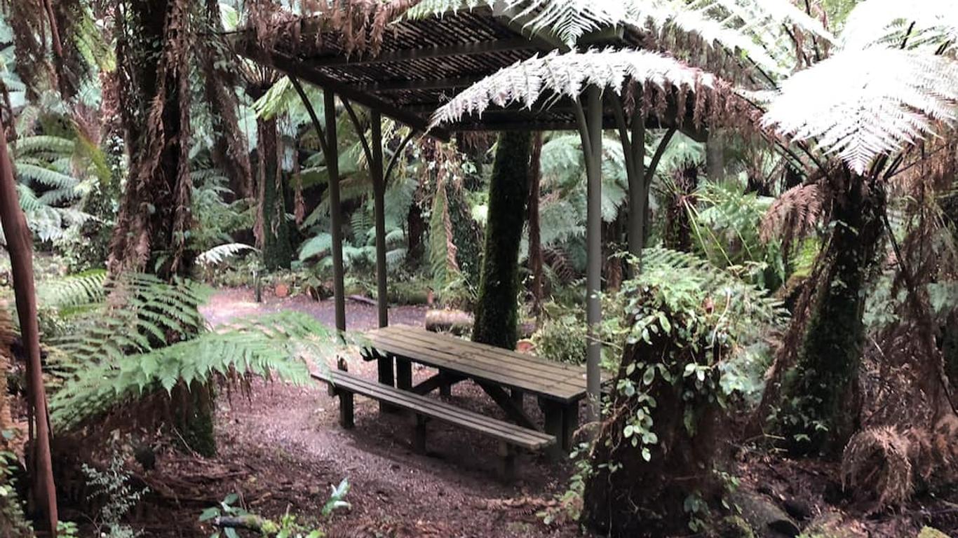 شيب موتل يارام