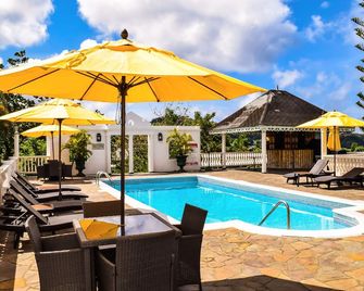 جرينادين هاوس - كينغستاون - حوض السباحة