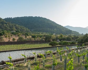 Rondaia, a Winery & Fincahotel-Agroturismo in Tramuntana - Esporles - Außenansicht