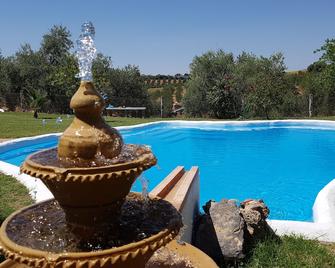 Schattig Herdershuisje uit 1892, met Zwembad, 4p - Puerto Serrano - Piscina
