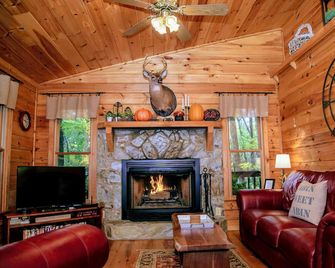Pet-Friendly Cabin In The Woods W/Hot Tub! Secluded, Cozy, 2,000' Up! - Ellijay - Sala de estar