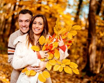 Cozy Modern Dome Nestled in the Trees in Maynooth, Ontario - Maynooth