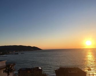 Ulivo - Diano Marina