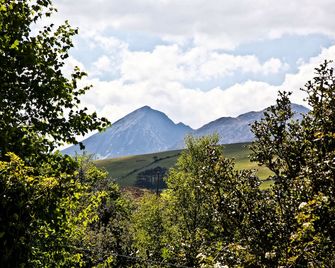 Silver Birch House - Killarney - Building