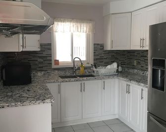 Homedel - Toronto - Keittiö