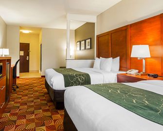 Comfort Suites Lake Charles - Lake Charles - Soveværelse