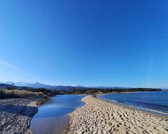 Palmeraie 220 - Sari-Solenzara - Strand