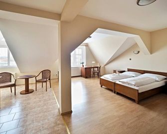 Hotel U Labute - Zdar nad Sázavou - Camera da letto