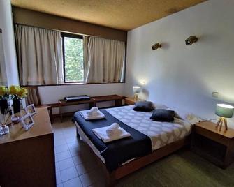 Special place in São Pedro do Sul - São Pedro do Sul - Bedroom