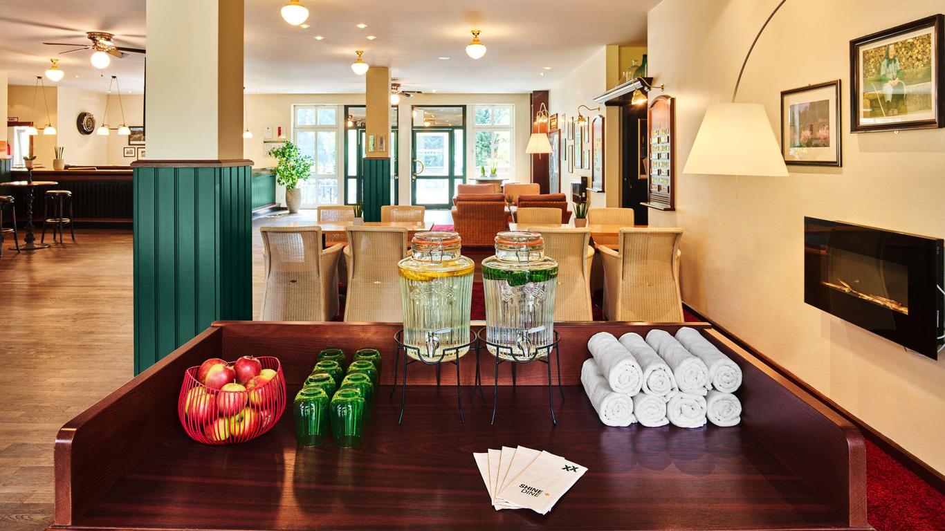 ماكس باي شتايجنبرجر دايدسهايم