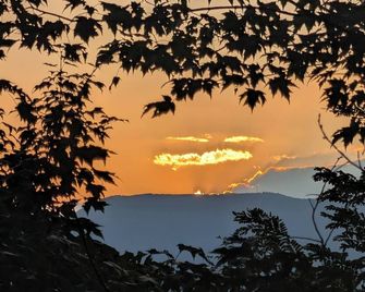 Moonshine Cabin tucked away on the Mountain,Great Location with Wellness Area! - Newport - Vista del exterior