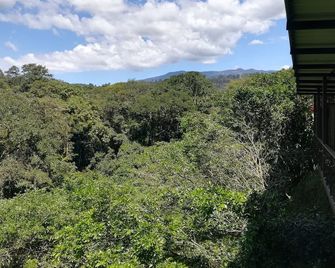 Hotel Pibi Boreal - Alajuela - Balcony