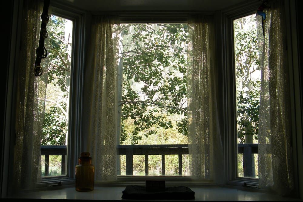 Clear Creek Retreat - Take a trip to the mountains - Georgetown - Balkón