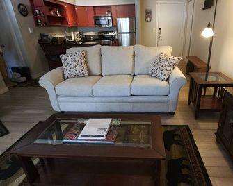 St. Mary's Landing 950 sq ft 2 bedroom condo. At 10,000 feet! - Idaho Springs - Obývací pokoj