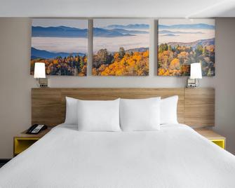Days Inn by Wyndham College Park Airport Best Road - College Park - Bedroom