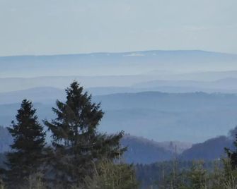 Dümpelhof Ferienwohnungen - Olsberg - Außenansicht