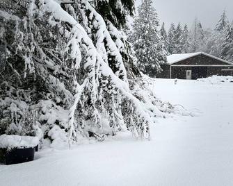 Furnished Cottage on 5 peaceful acres just min to towns, hospital, Seattle Ferry - Seabeck