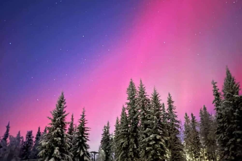 Borealis Bungalow and Hot Tub - Fairbanks