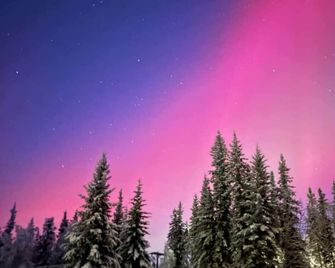 Borealis Bungalow and Hot Tub - Fairbanks