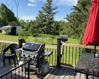 Restored Farm House in quaint Hudson Valley Town of Red Hook, Dutchess County - Red Hook - Patio