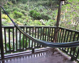 Rafjam Bed & Breakfast - Kingston - Balcón