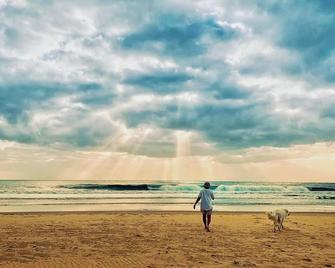 Bryn Glas Farm Stay - Moruya - Pláž